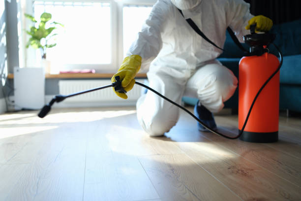 Reliable Biohazard contractor in Webster, FL by Trauma Clean Pros